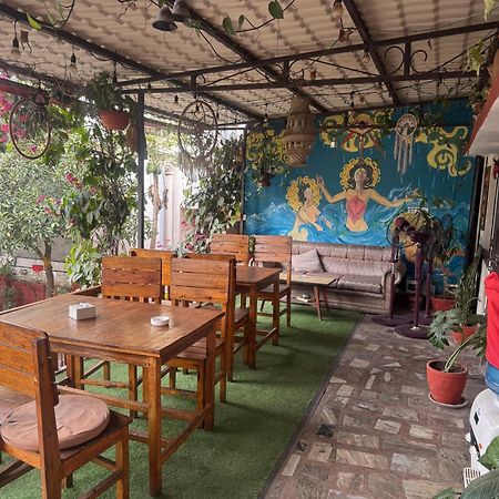 Birds Nest Hostel Katmandú Exterior foto