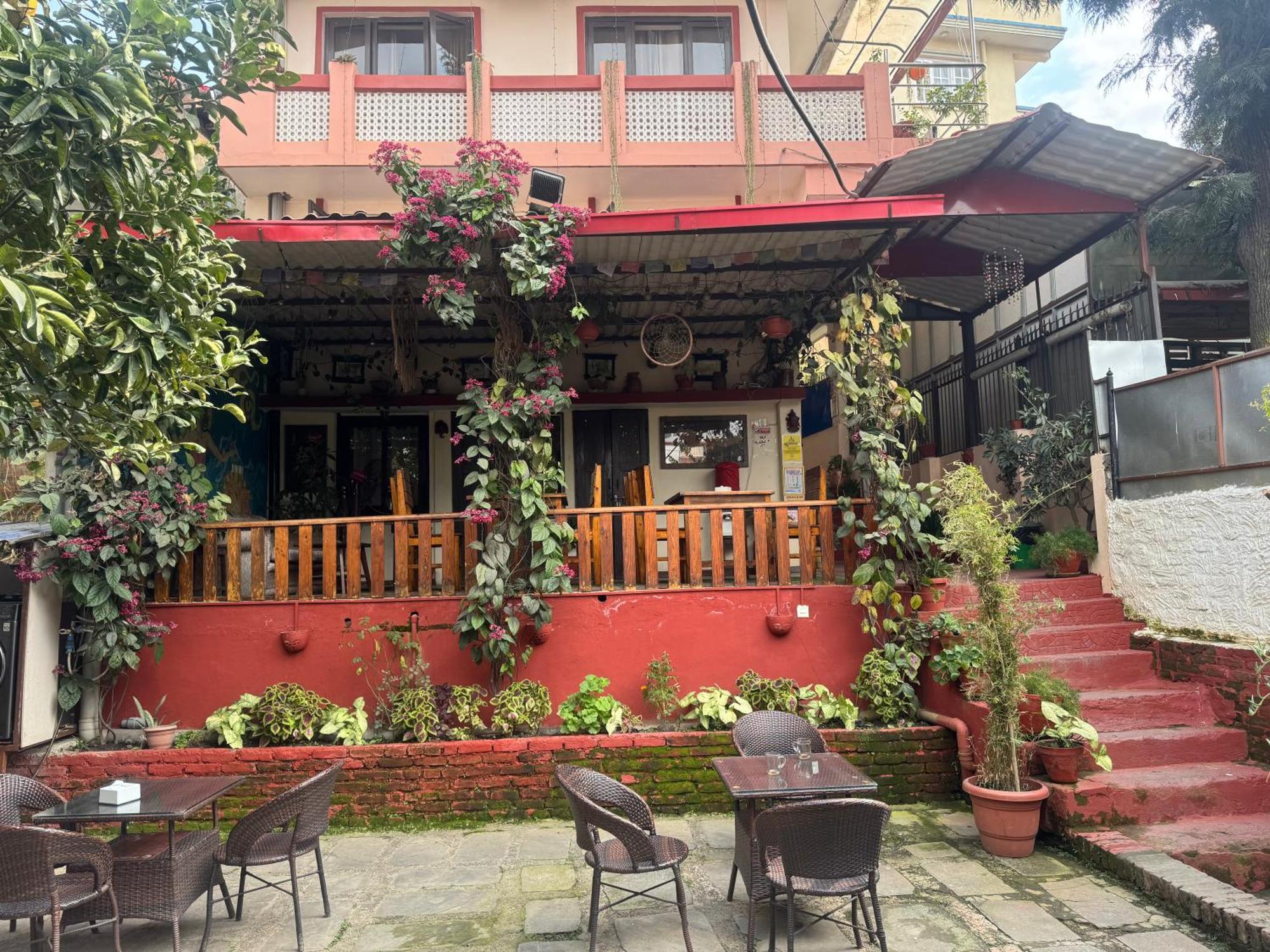 Birds Nest Hostel Katmandú Exterior foto